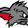 Kirchdorf Wildcats