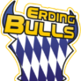 Erding Bulls