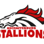 Aschaffenburg Stallions