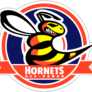 Hanau Hornets